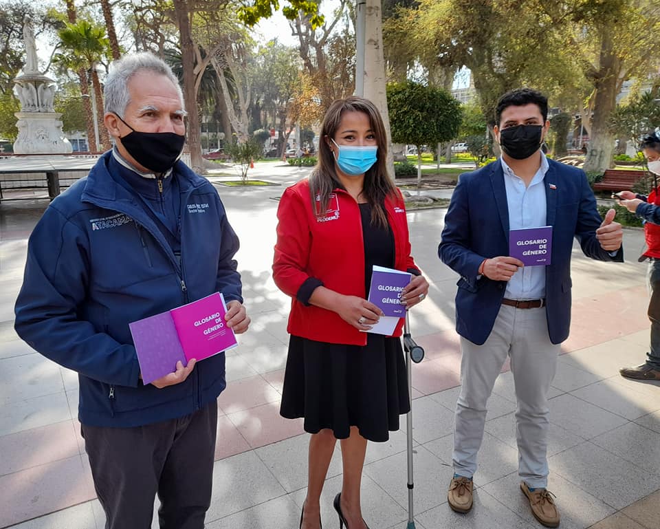 SLEP Atacama y Seremi de Gobierno se suman con fuerza a campaña de PRODEMU “Violencia oculta”