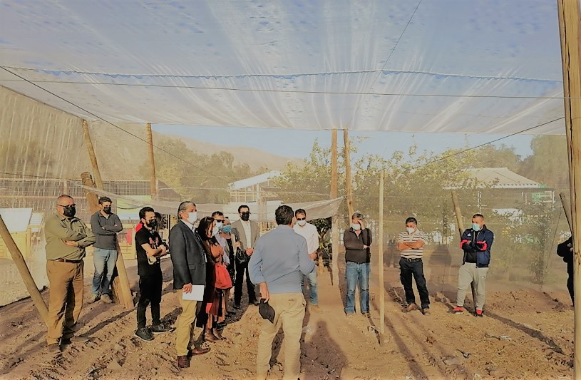 Escuelas del SLEP Atacama serán protagonistas del “Proyecto Educativo de Huertas Escolares Sustentables” de APECO en la Provincia de Copiapó