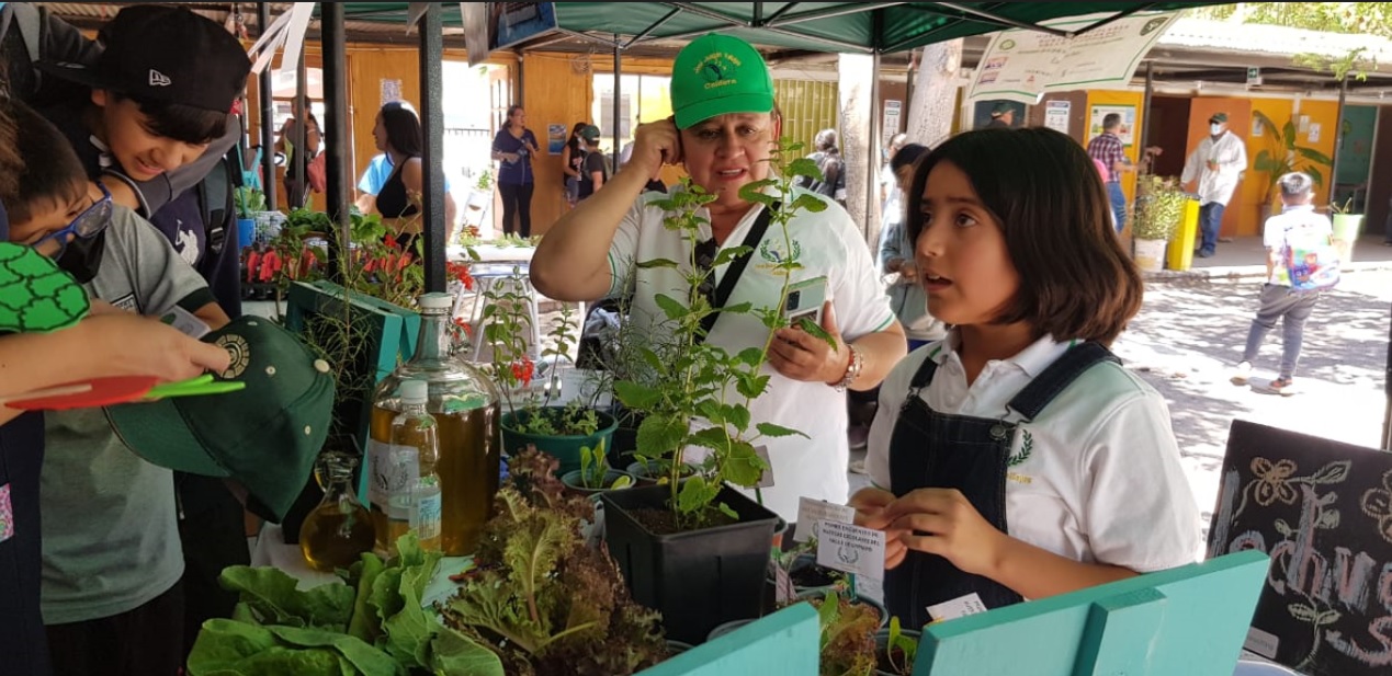 Con 7 establecimientos educacionales del SLEP Atacama se desarrolló “primer encuentro de huertas escolares sustentables del valle de Copiapó”