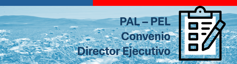 PAL - PEL / CONVENIO DIRECTOR EJECUTIVO