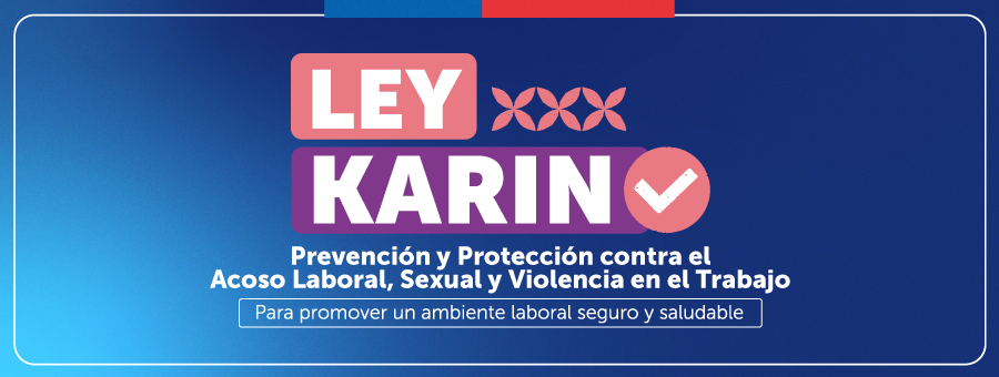 Ley Karin